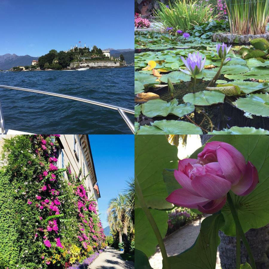 Lakeside Lago Maggiore Monvalle 외부 사진